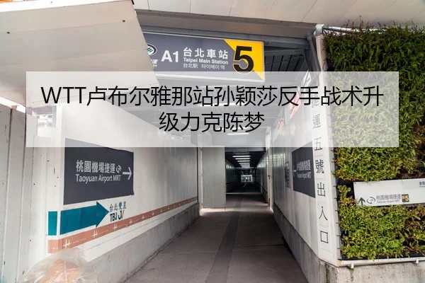 WTT卢布尔雅那站孙颖莎反手战术升级力克陈梦