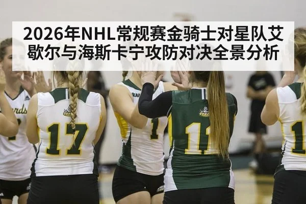 2026年NHL常规赛金骑士对星队艾歇尔与海斯卡宁攻防对决全景分析